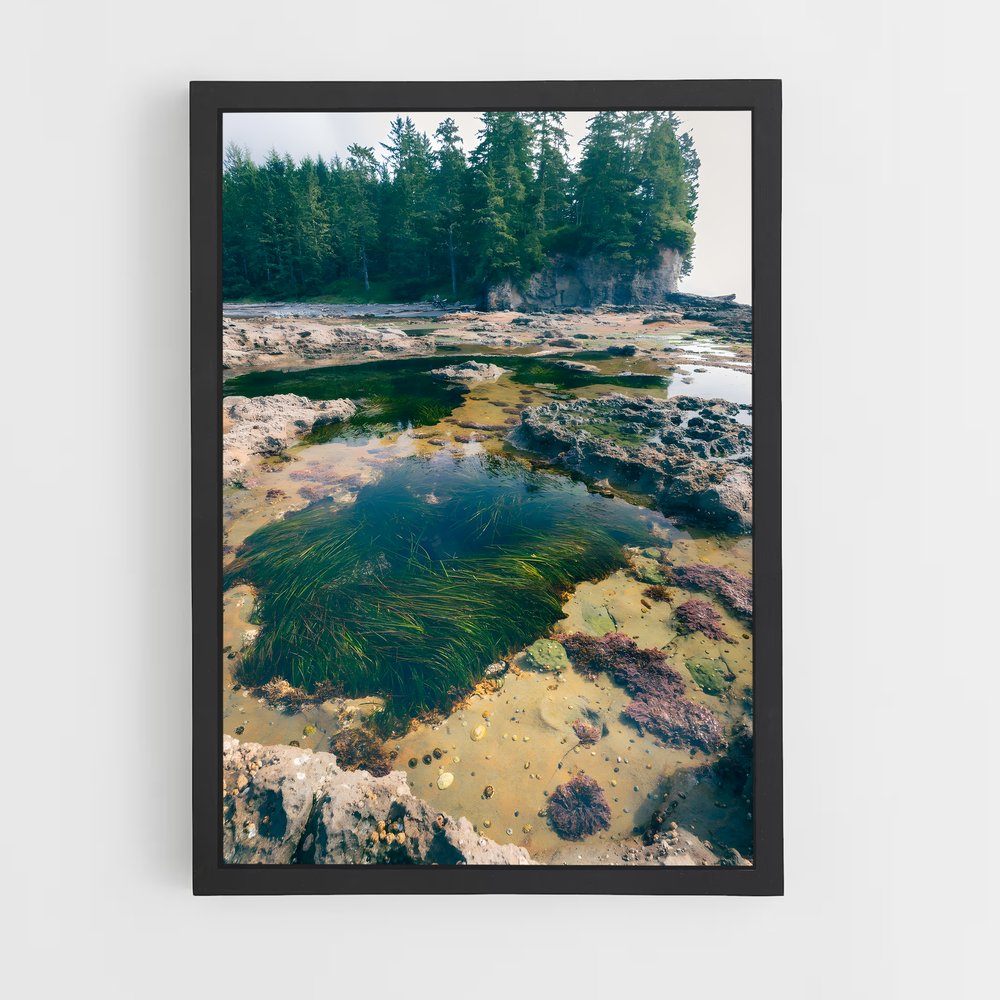 ap-tide pool-3 cadre Noir