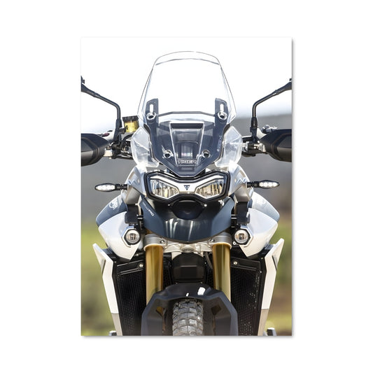 Poster Puissance du Tigre