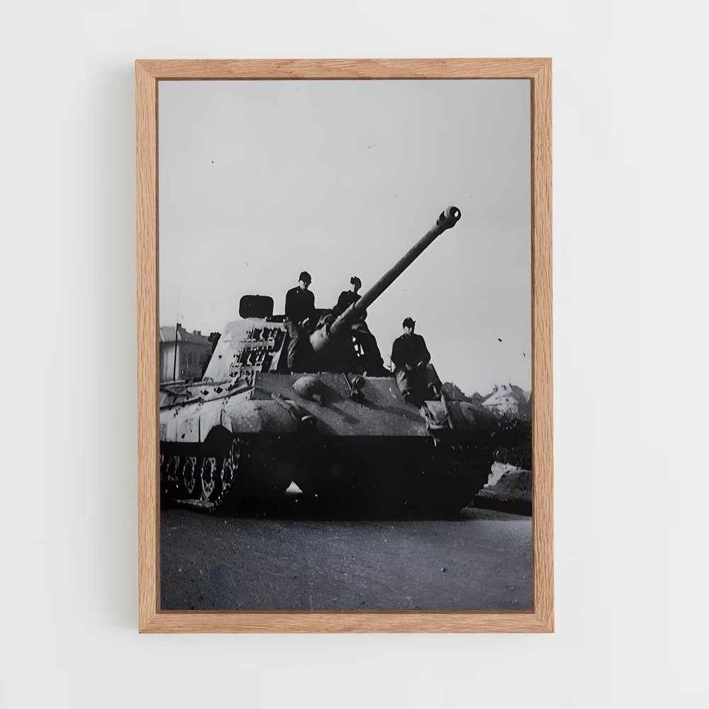 ap-tiger ii-1 cadre Bois clair