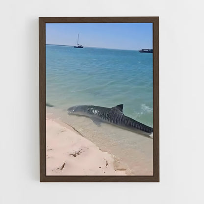ap-tiger shark-1 cadre Bois foncé