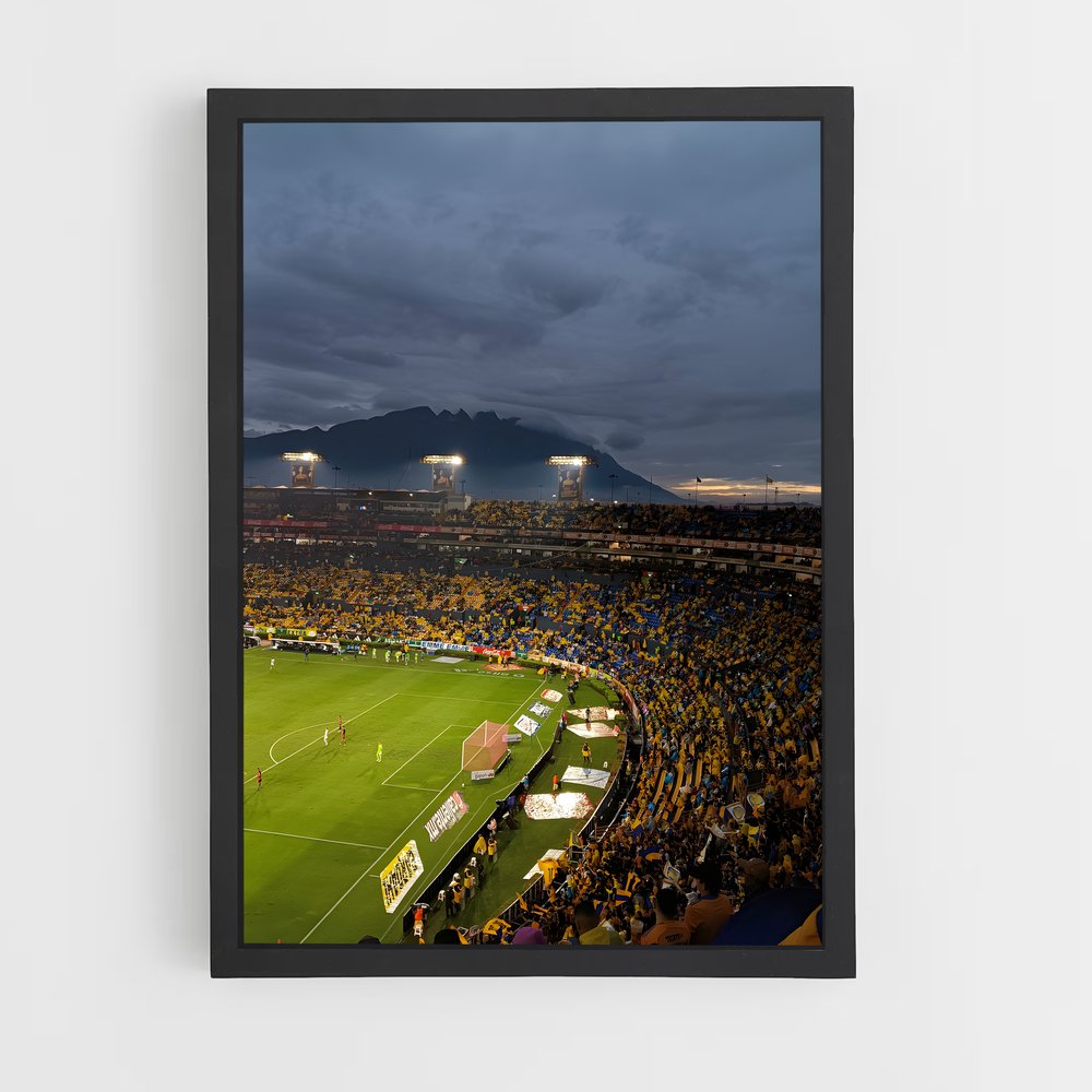 ap-tigres uanl-2 cadre Noir
