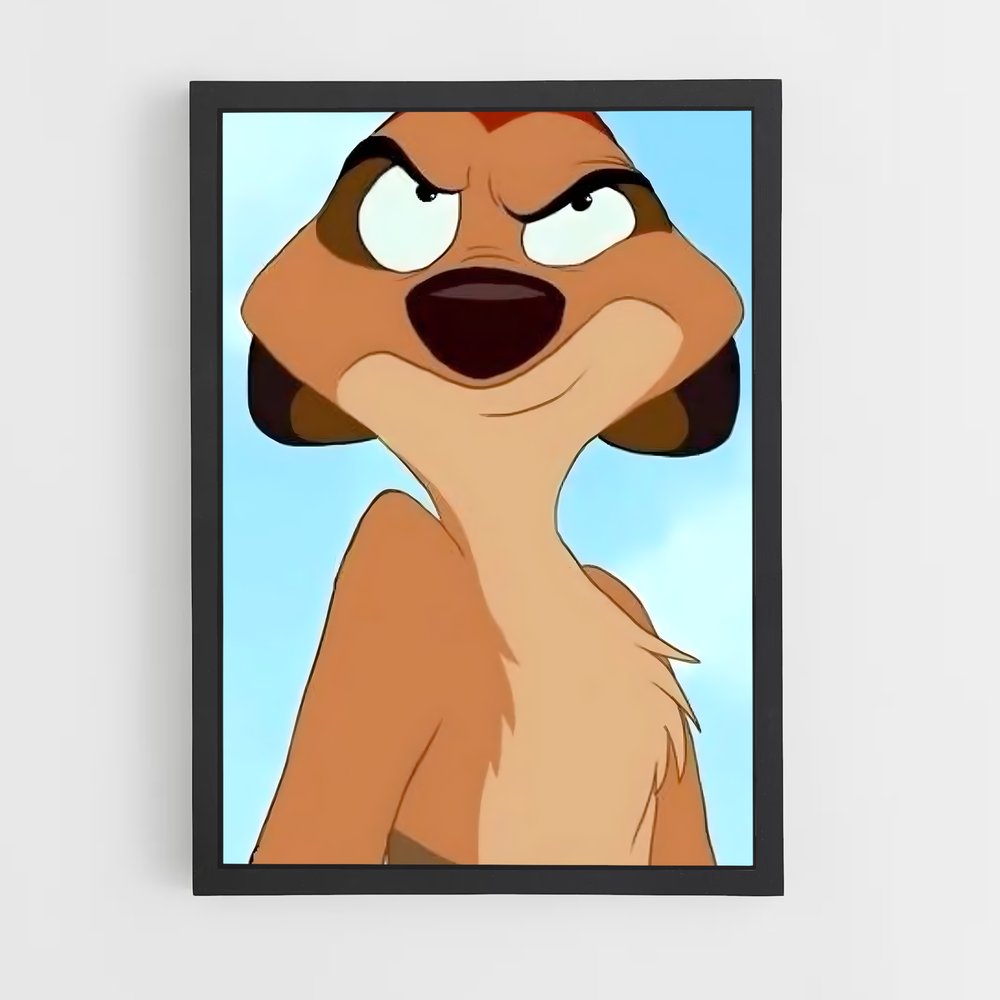 ap-timon-3 cadre Noir