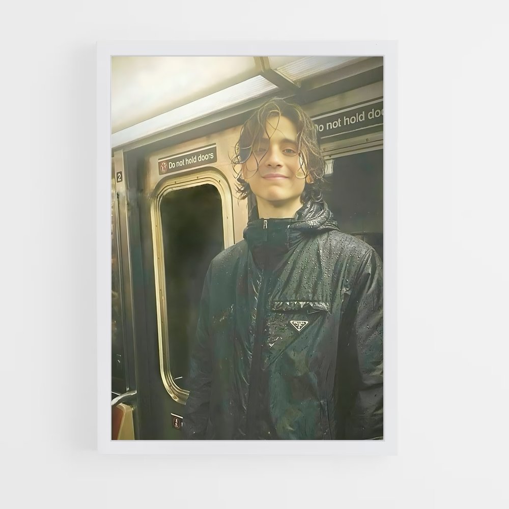 ap-timothee chalamet-3 cadre Blanc
