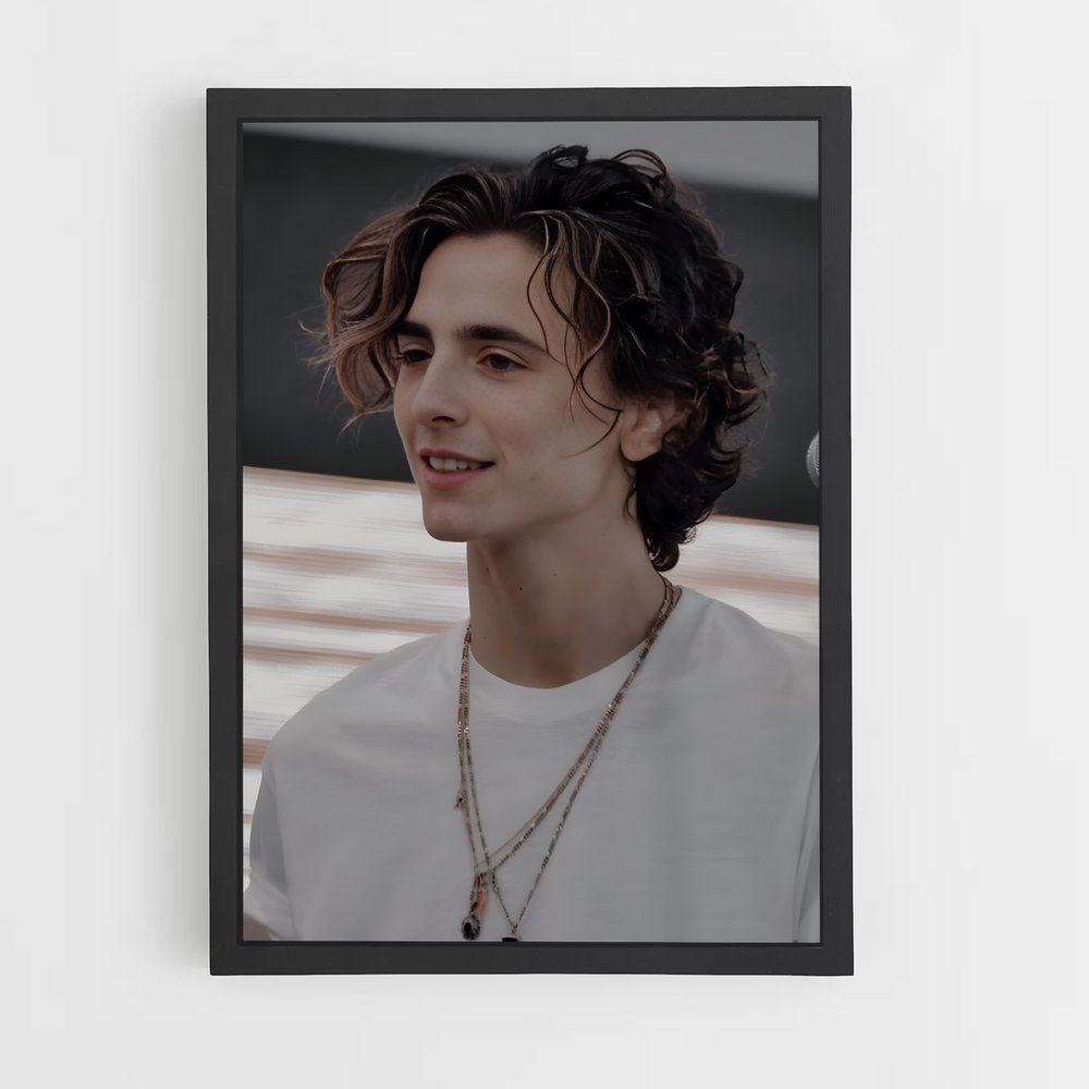 ap-timothee chalamet-5 cadre Noir