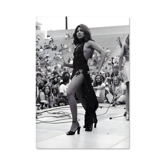 Poster Tina turner 52701
