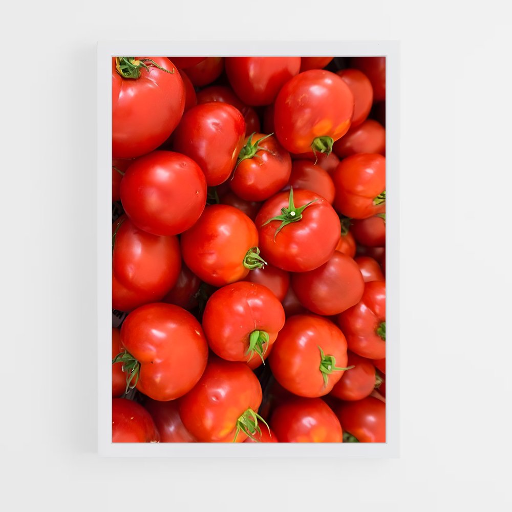 ap-tomato-5 cadre Blanc