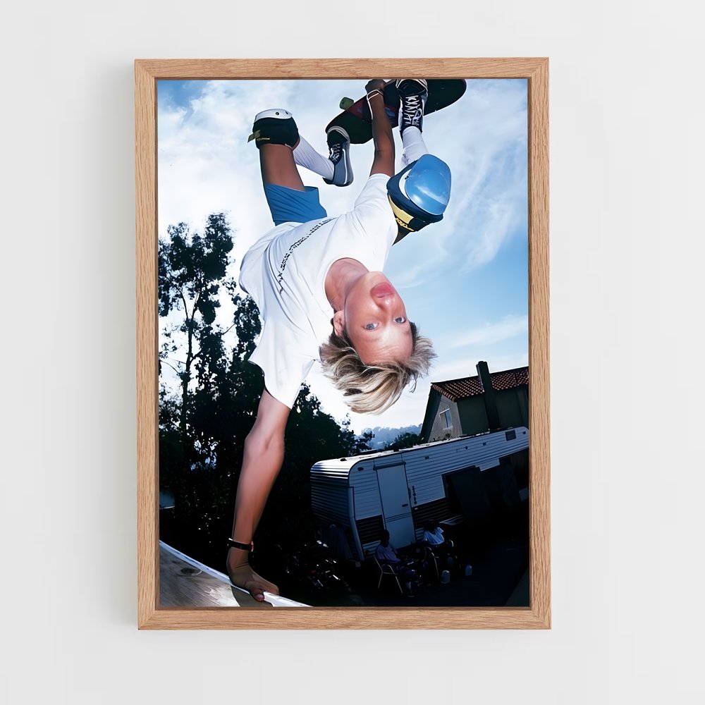 ap-tony hawk-5 cadre Bois clair