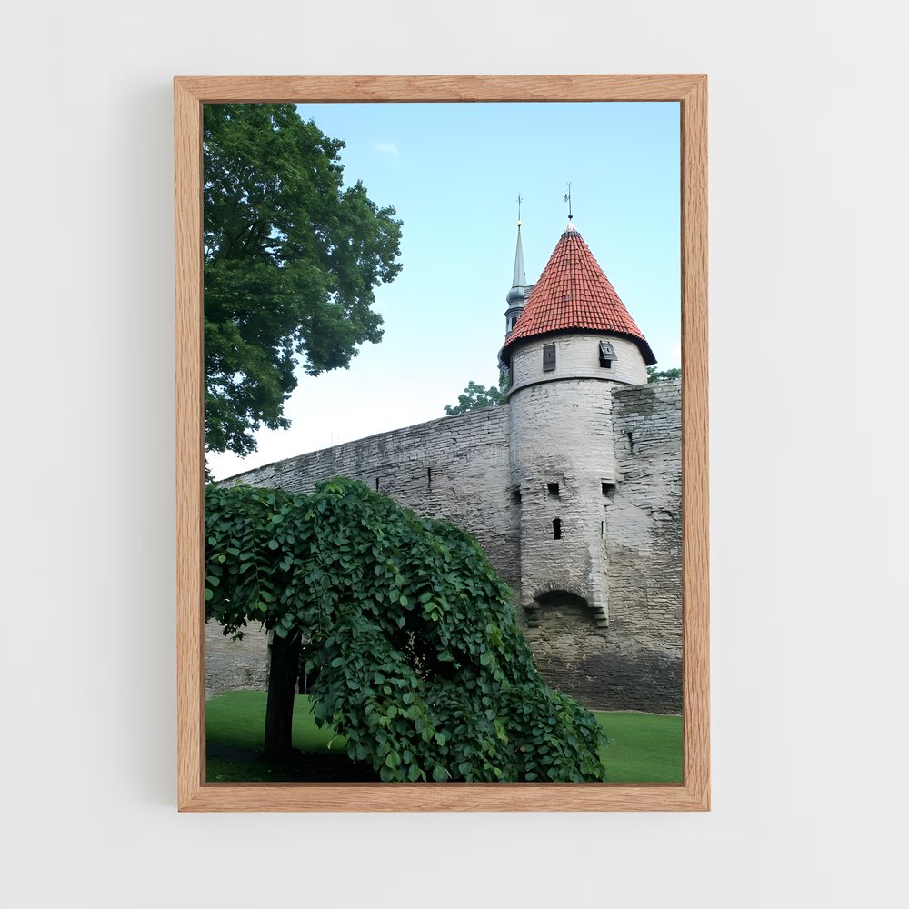 ap-toompea castle-2 cadre Bois clair