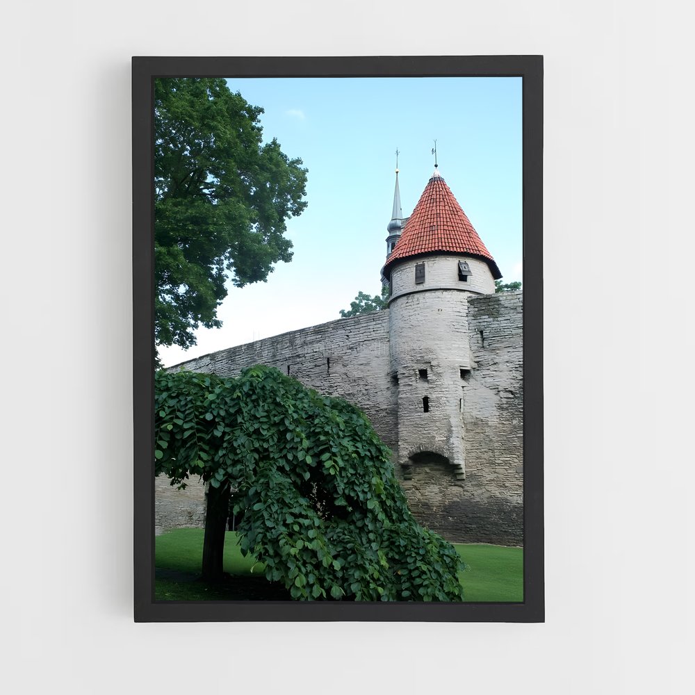 ap-toompea castle-2 cadre Noir