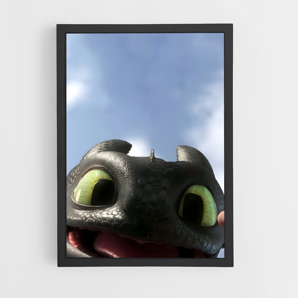 ap-toothless-3 cadre Noir