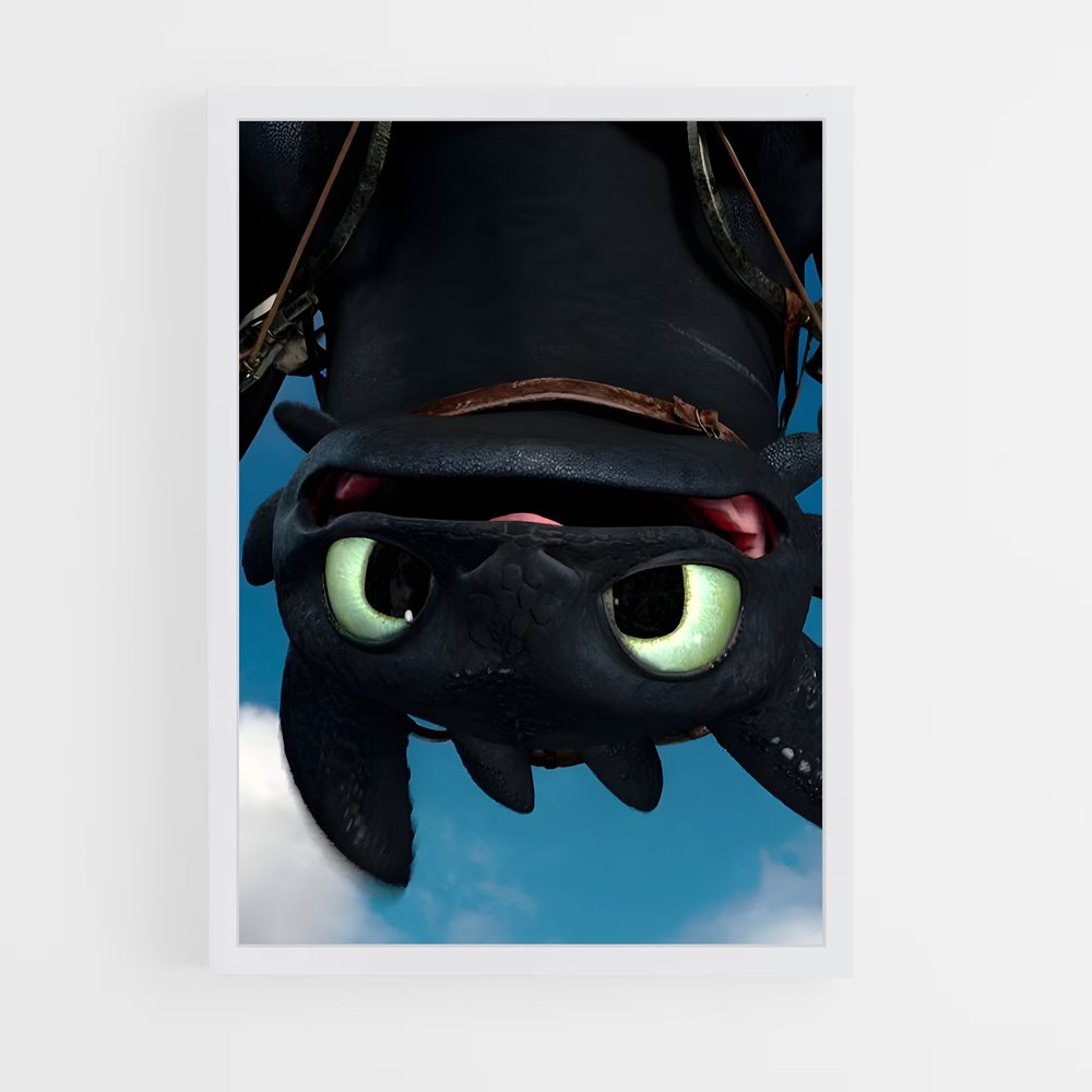 ap-toothless-5 cadre Blanc