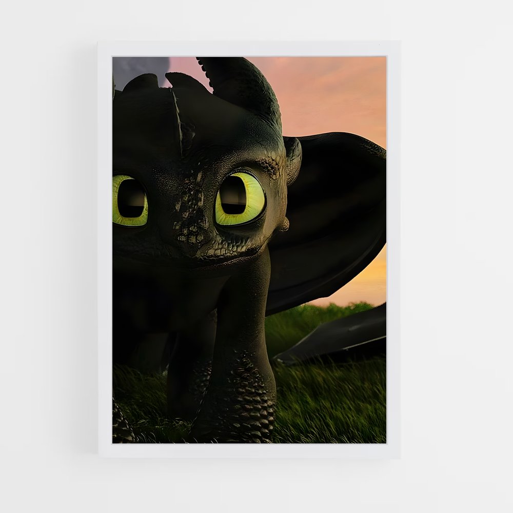 ap-toothless-6 cadre Blanc