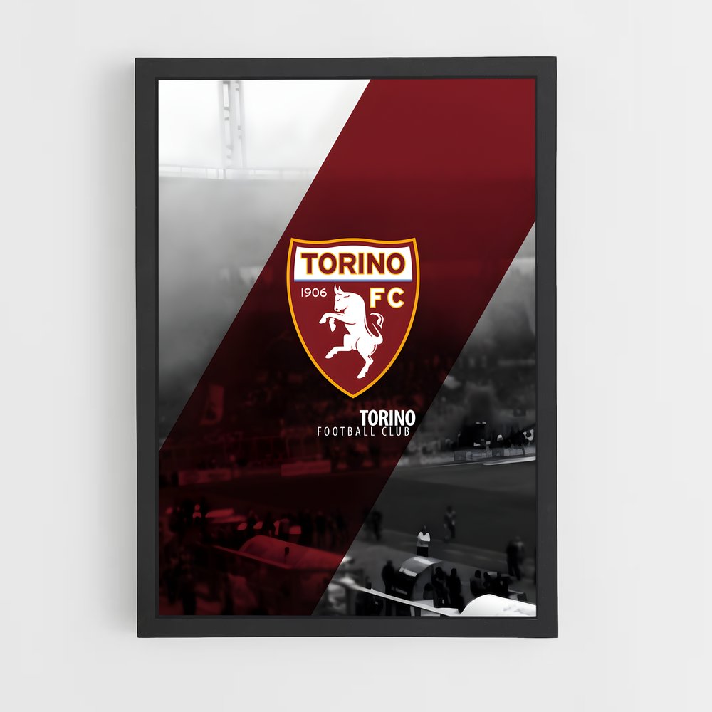 ap-torino fc-3 cadre Noir
