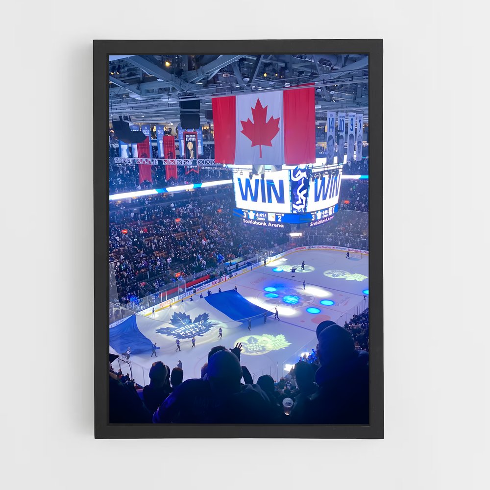 ap-toronto maple leafs-7 cadre Noir