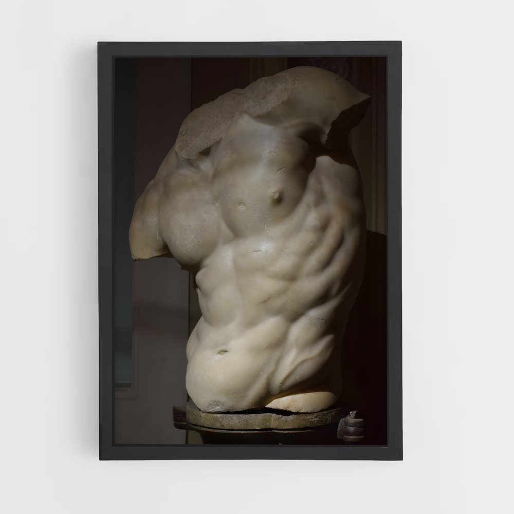 ap-torso-1 cadre Noir