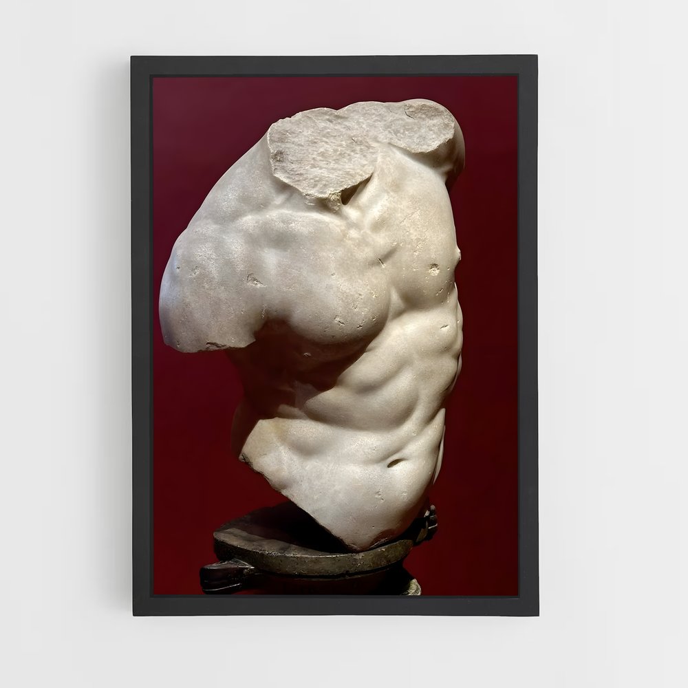 ap-torso-2 cadre Noir