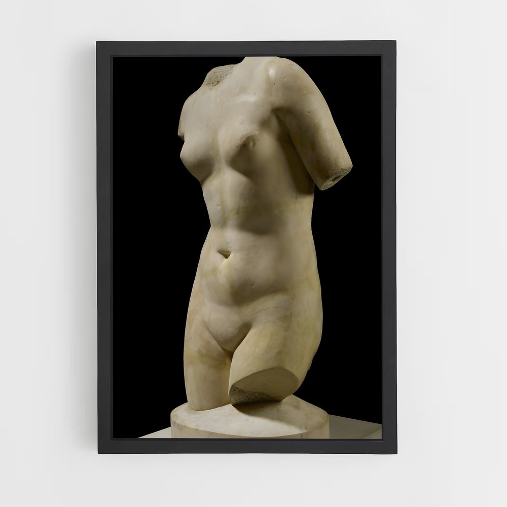 ap-torso-3 cadre Noir