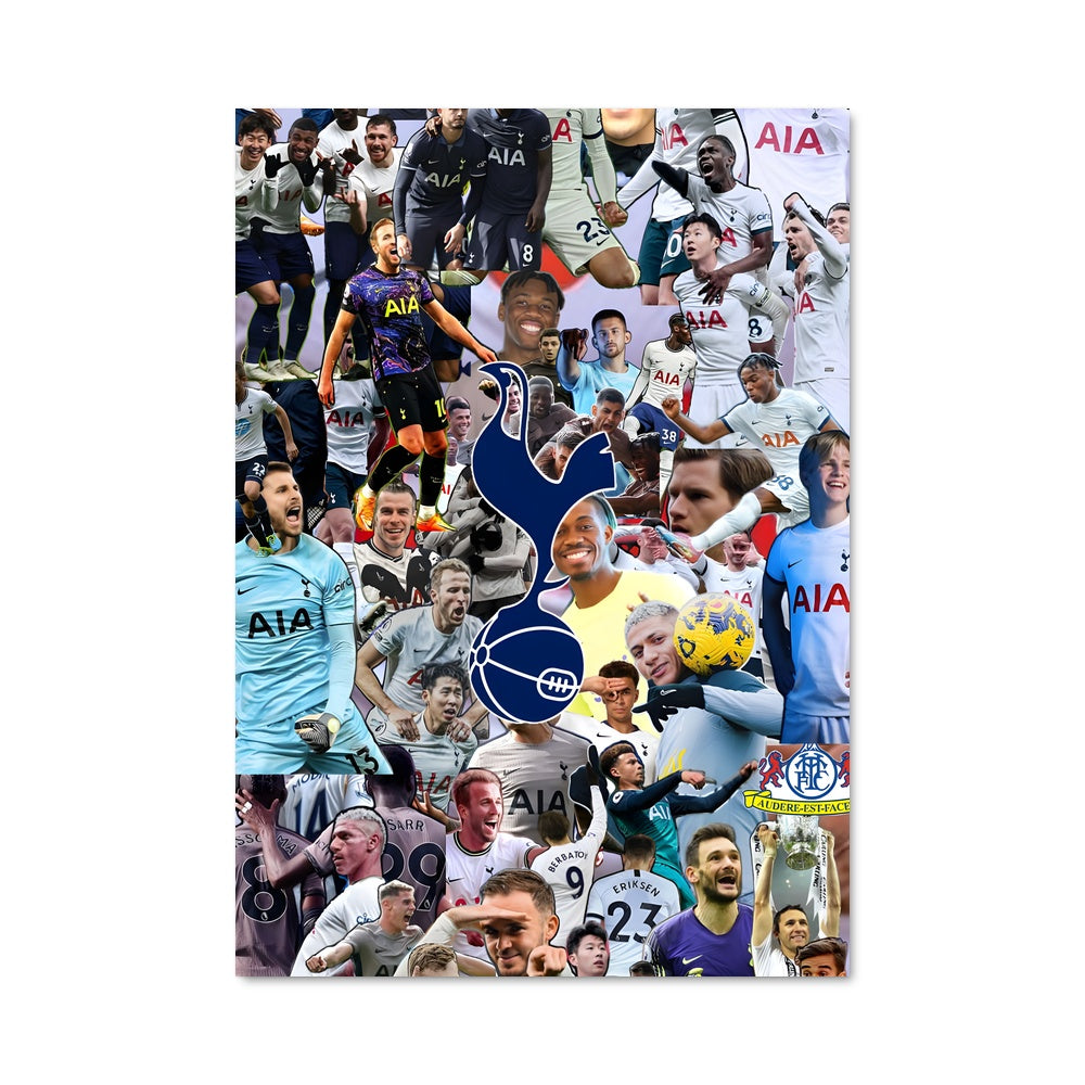 Poster Tottenham hotspur fc 73324