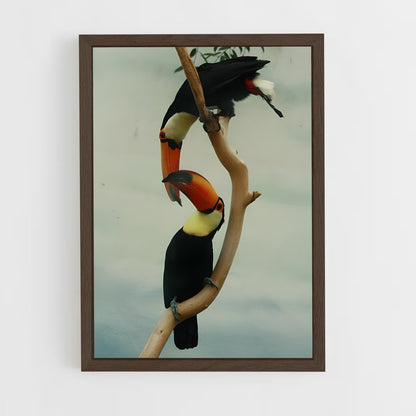 ap-toucan-6 cadre Bois foncé