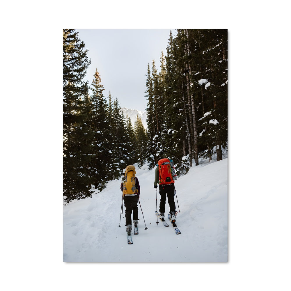 Poster Tour de ski 75752