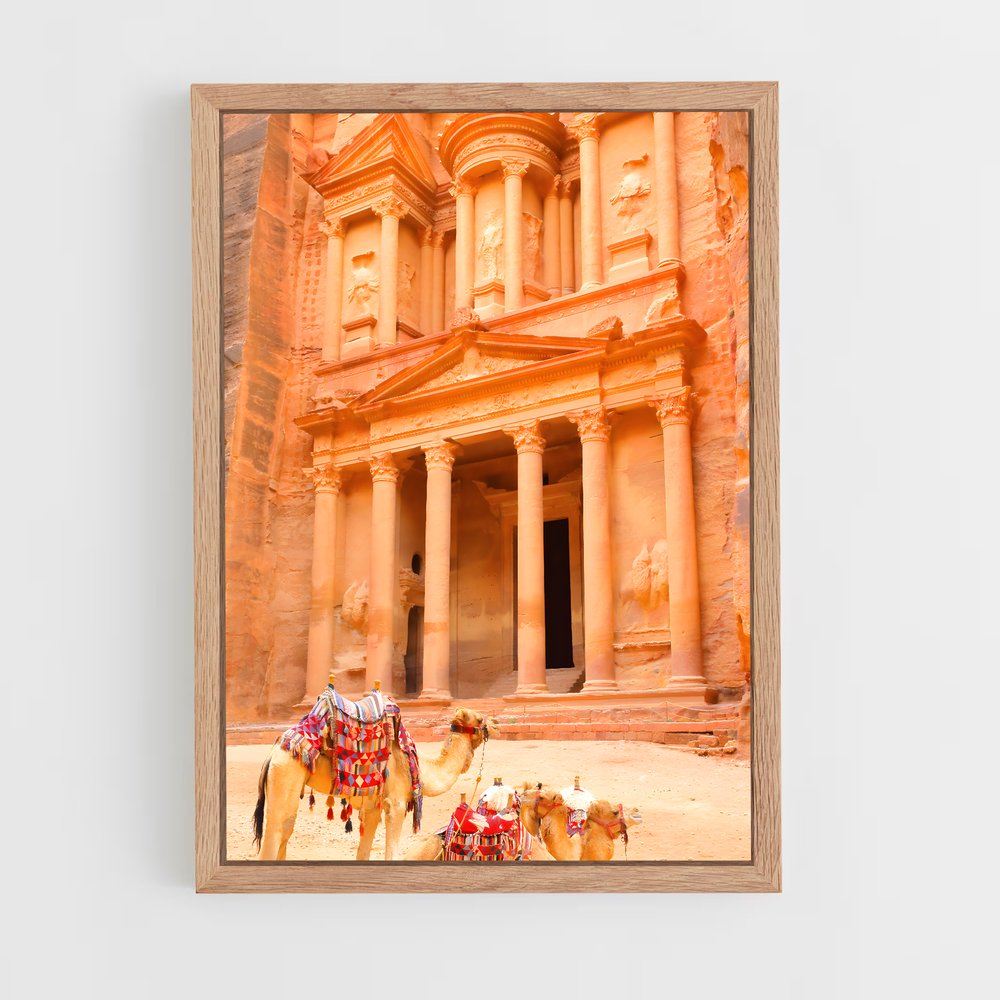 ap-treasury petra-3 cadre Bois clair