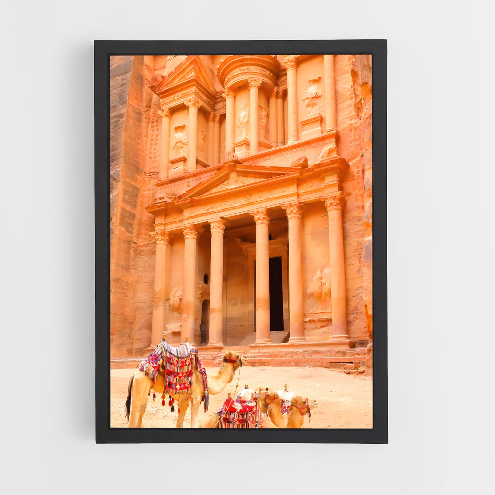 ap-treasury petra-3 cadre Noir