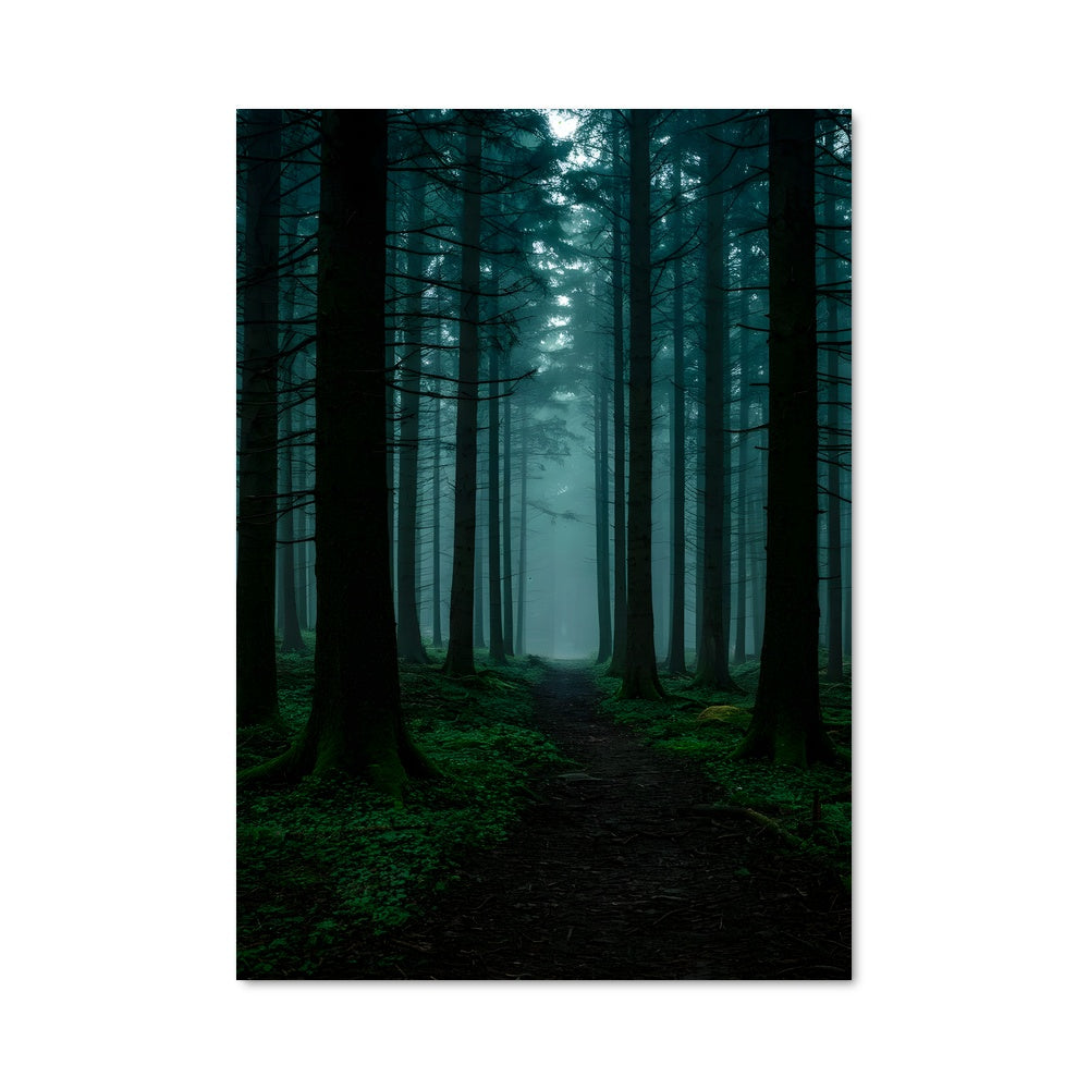 Poster Sous le Canopée