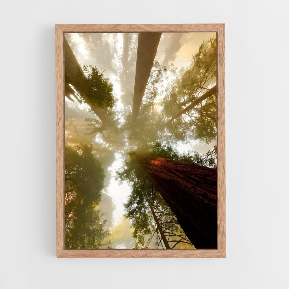 ap-tree canopy-1 cadre Bois clair