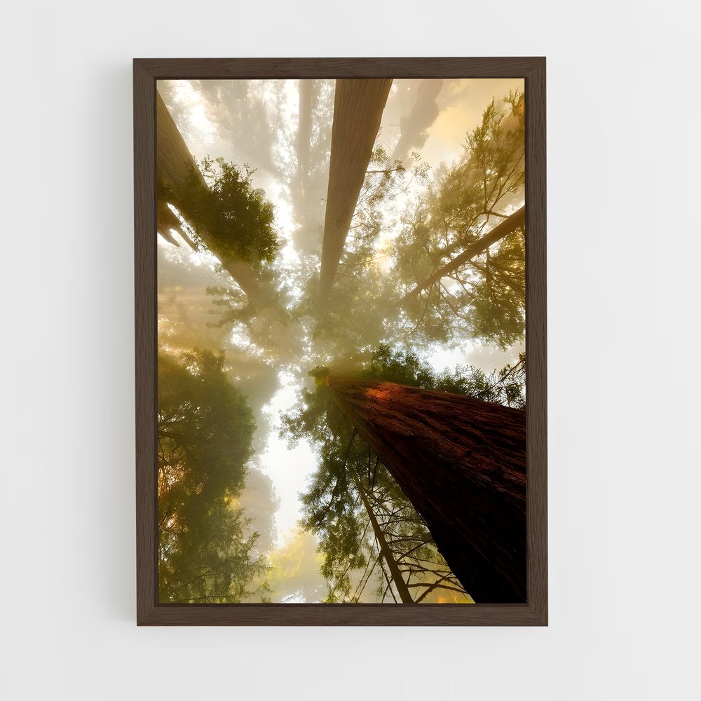 ap-tree canopy-1 cadre Bois foncé