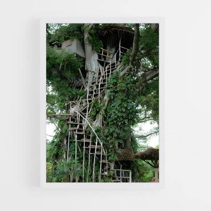 ap-tree canopy-4 cadre Blanc