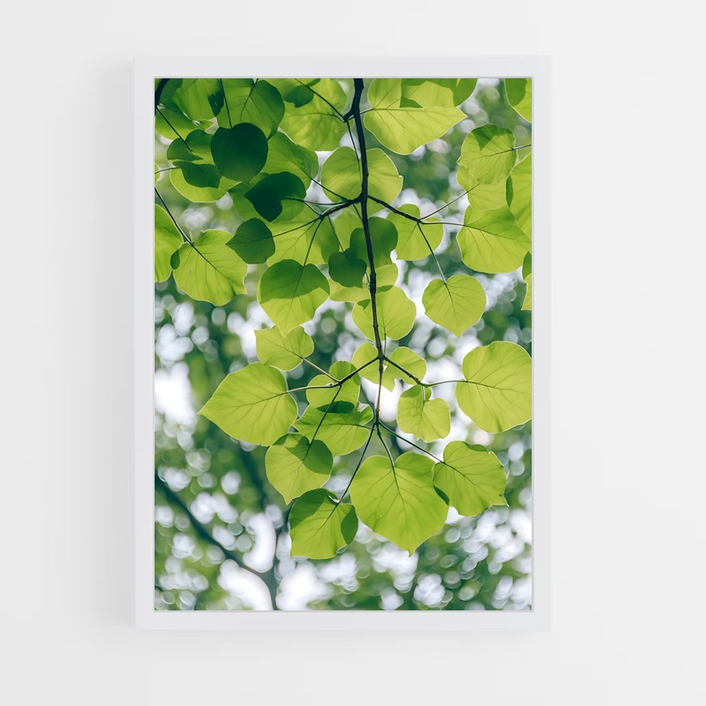 ap-tree canopy-7 cadre Blanc