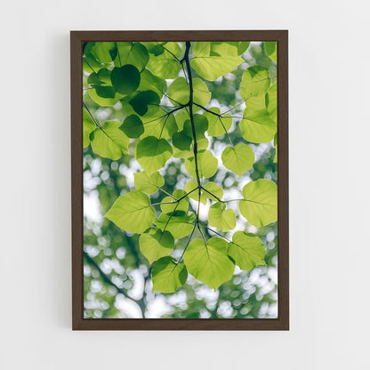 ap-tree canopy-7 cadre Bois foncé