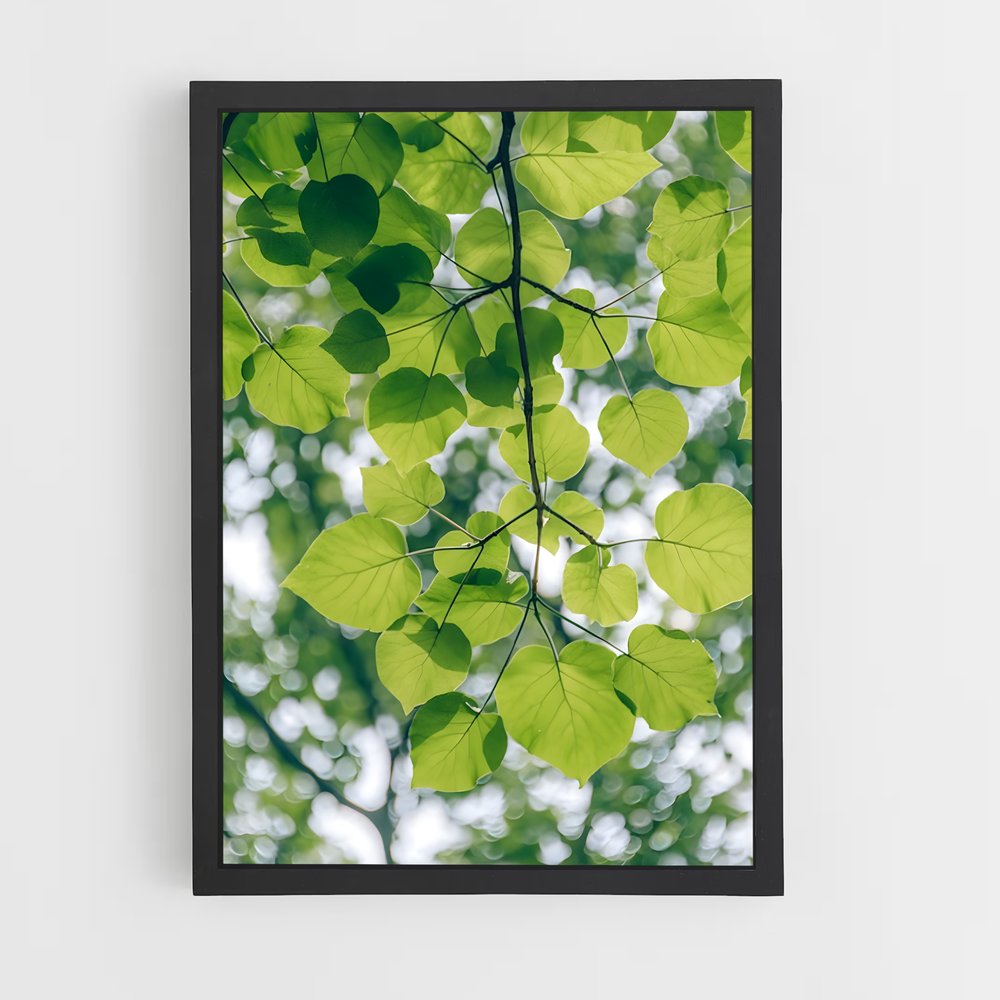 ap-tree canopy-7 cadre Noir