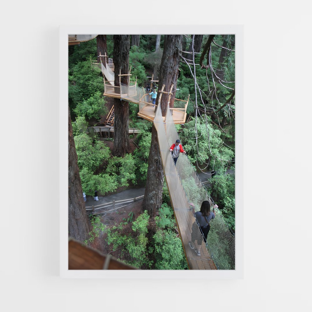 ap-tree canopy-8 cadre Blanc