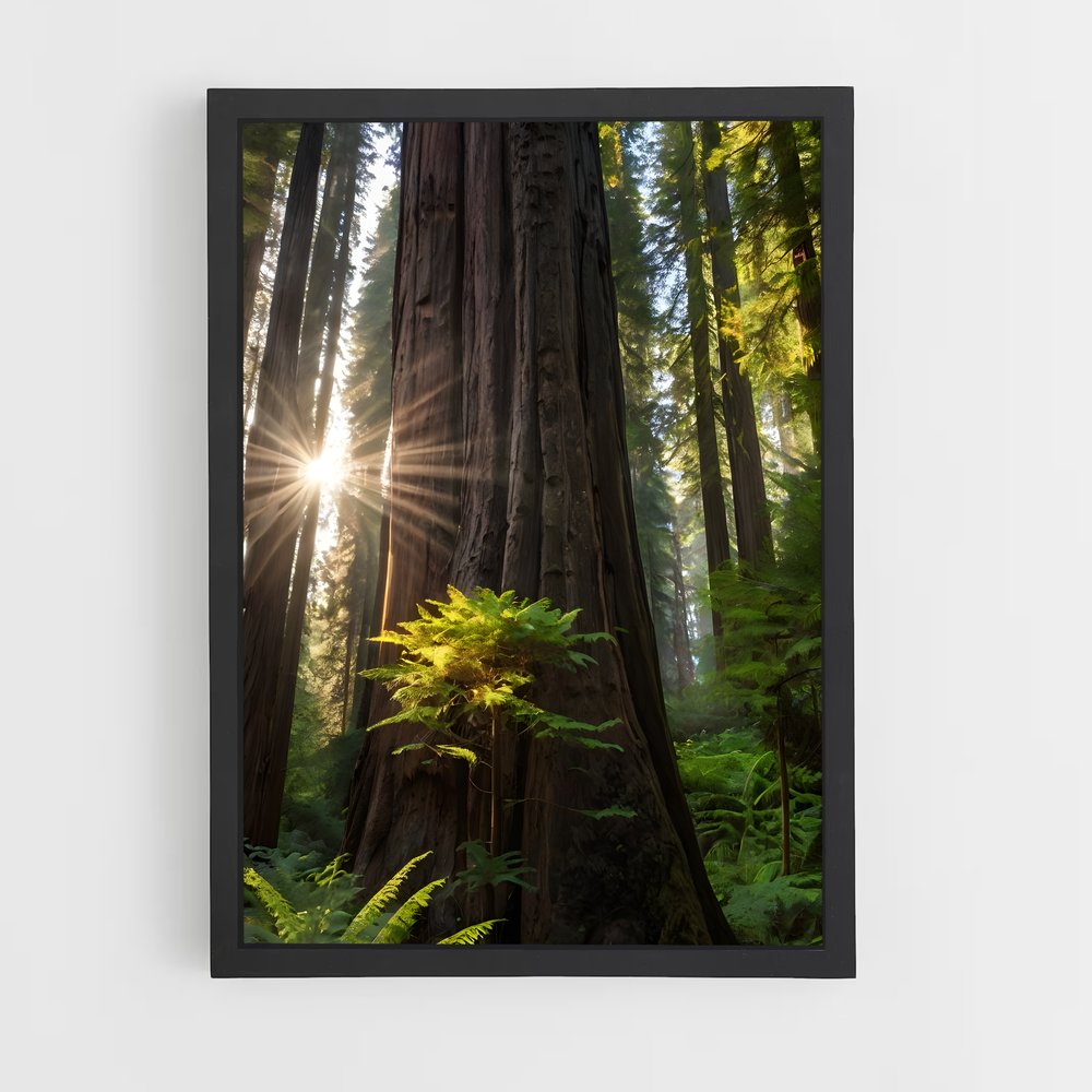 ap-tree canopy-9 cadre Noir