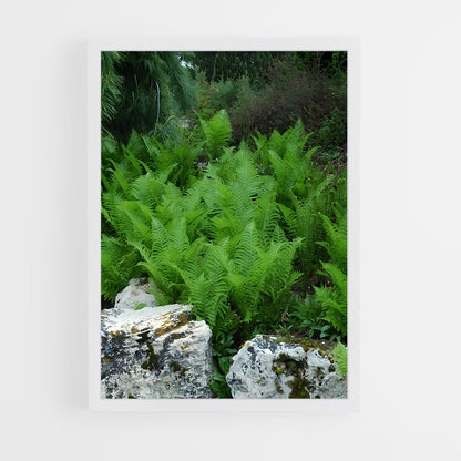 ap-tree fern-3 cadre Blanc