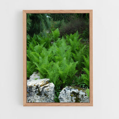 ap-tree fern-3 cadre Bois clair