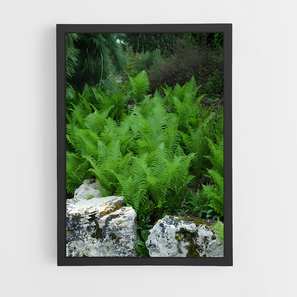 ap-tree fern-3 cadre Noir