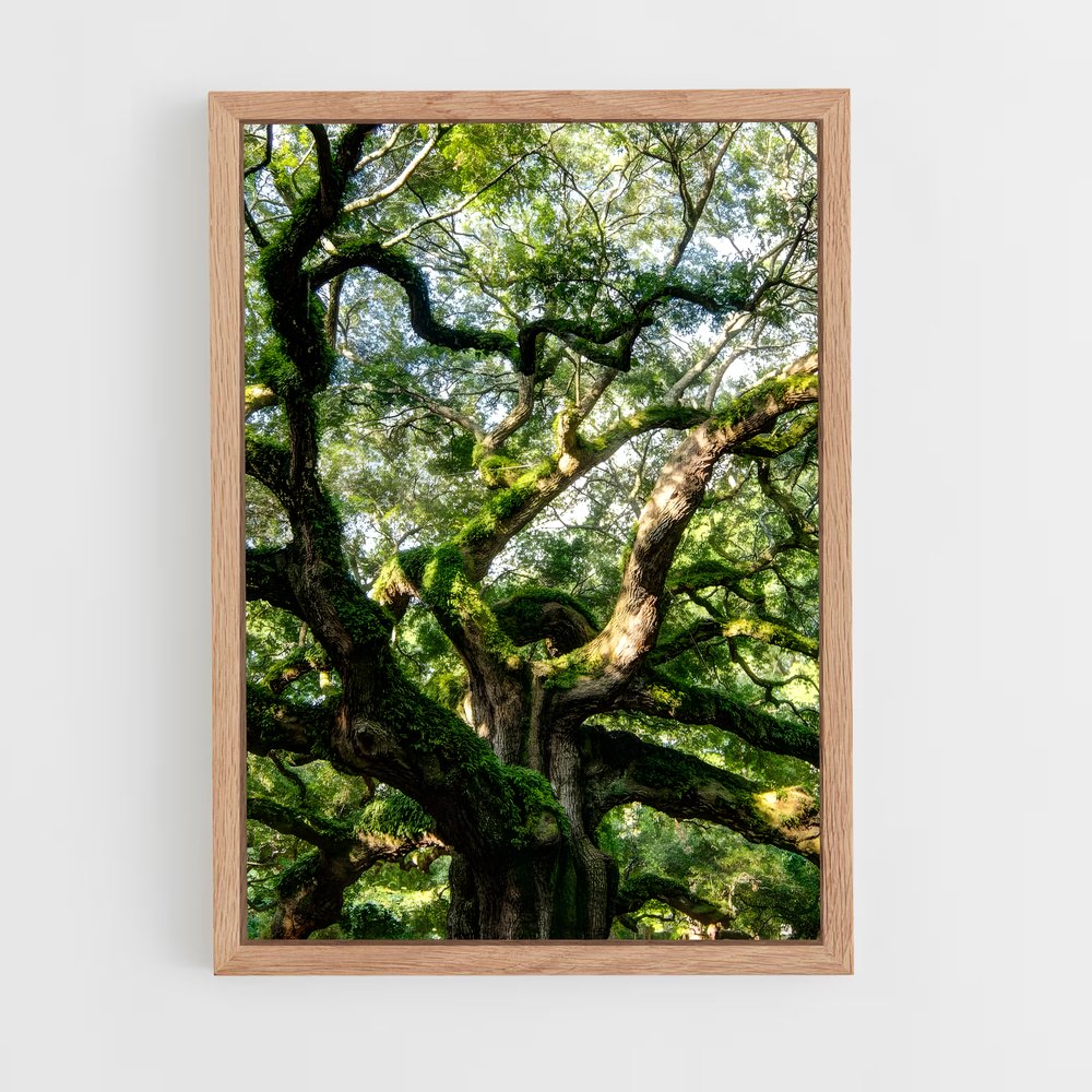 ap-trees-7 cadre Bois clair