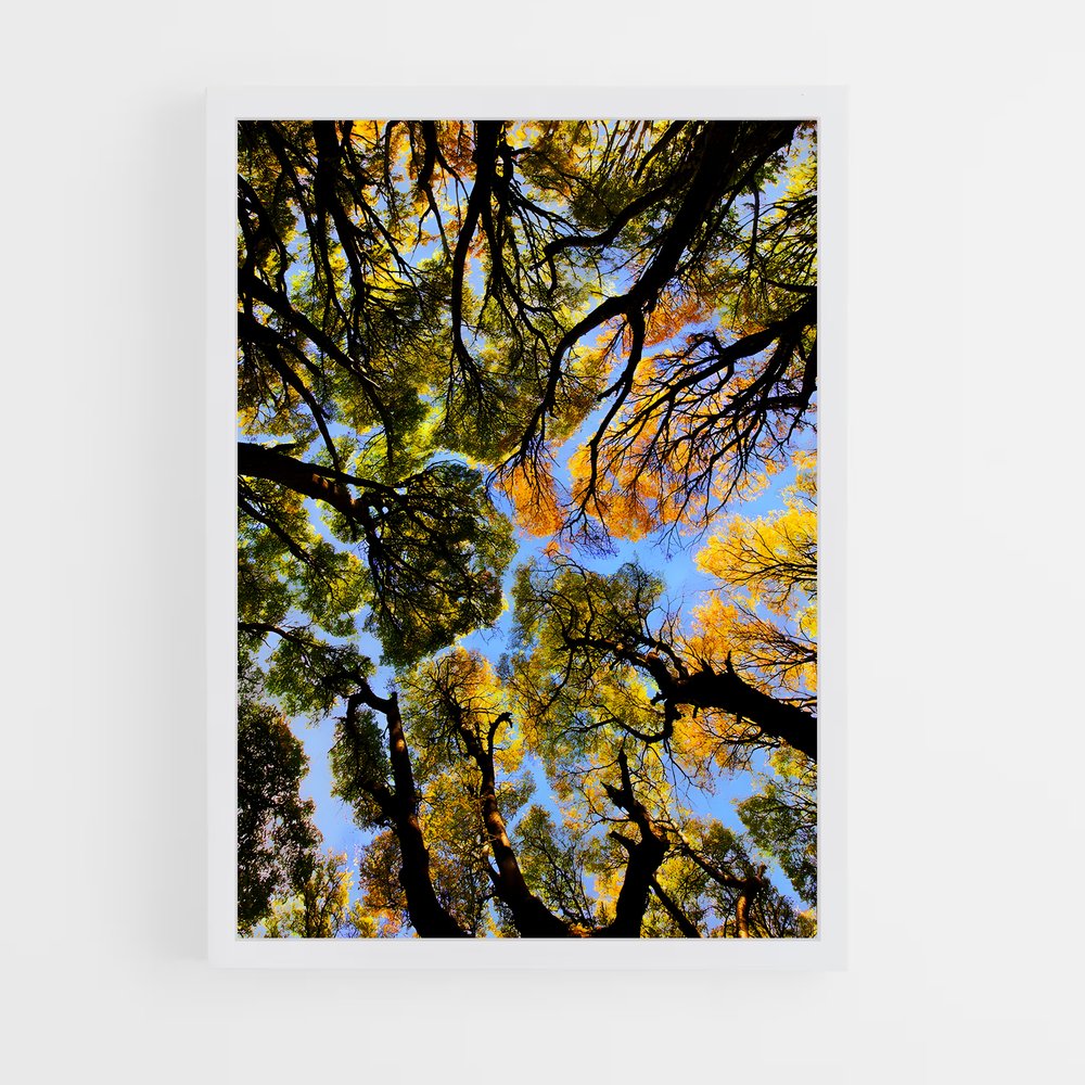 ap-trees-9 cadre Blanc