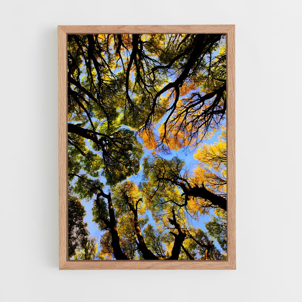 ap-trees-9 cadre Bois clair