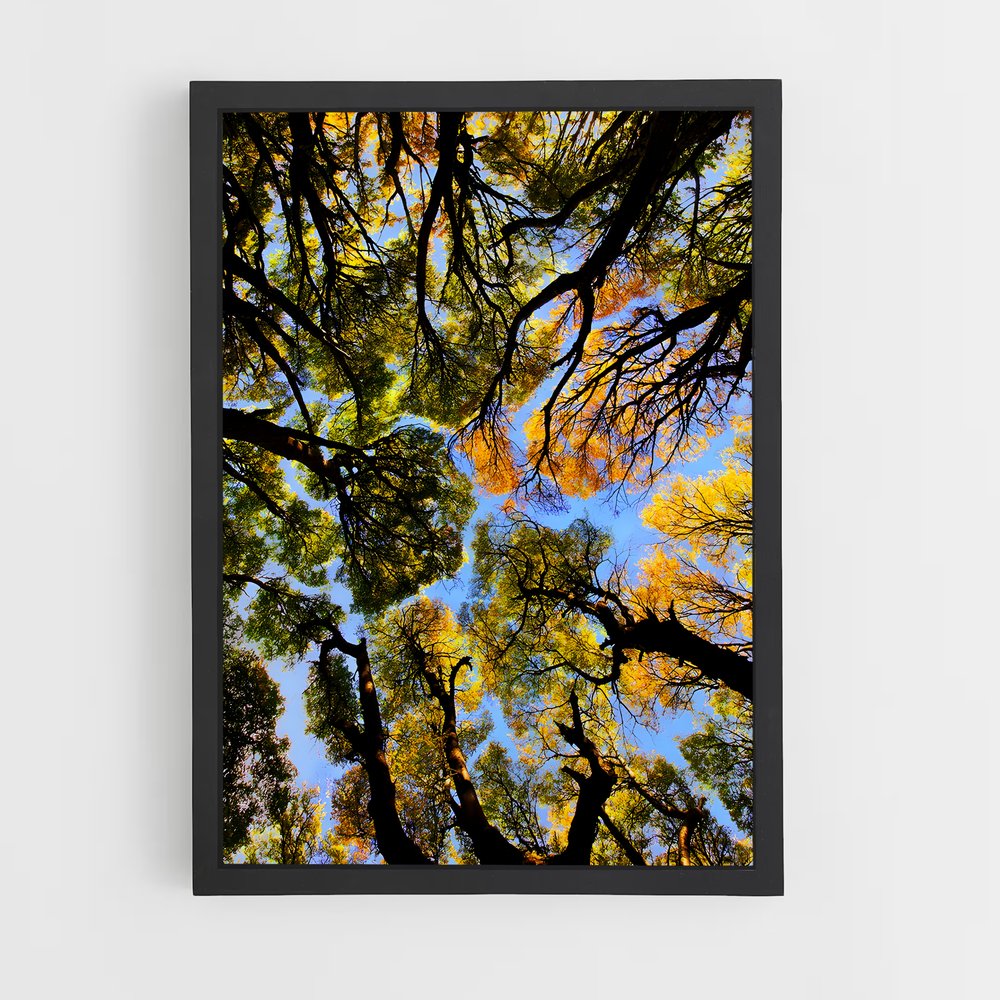 ap-trees-9 cadre Noir