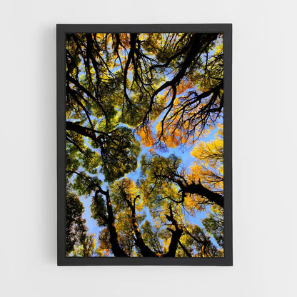 ap-trees-9 cadre Noir