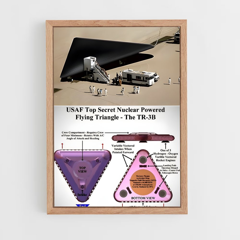 ap-triangle ufo-1 cadre Bois clair