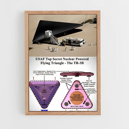ap-triangle ufo-1 cadre Bois clair