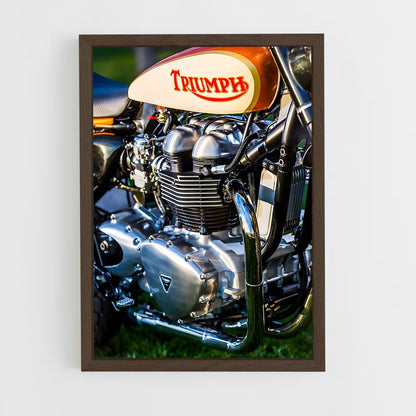 ap-triumph-2 cadre Bois foncé