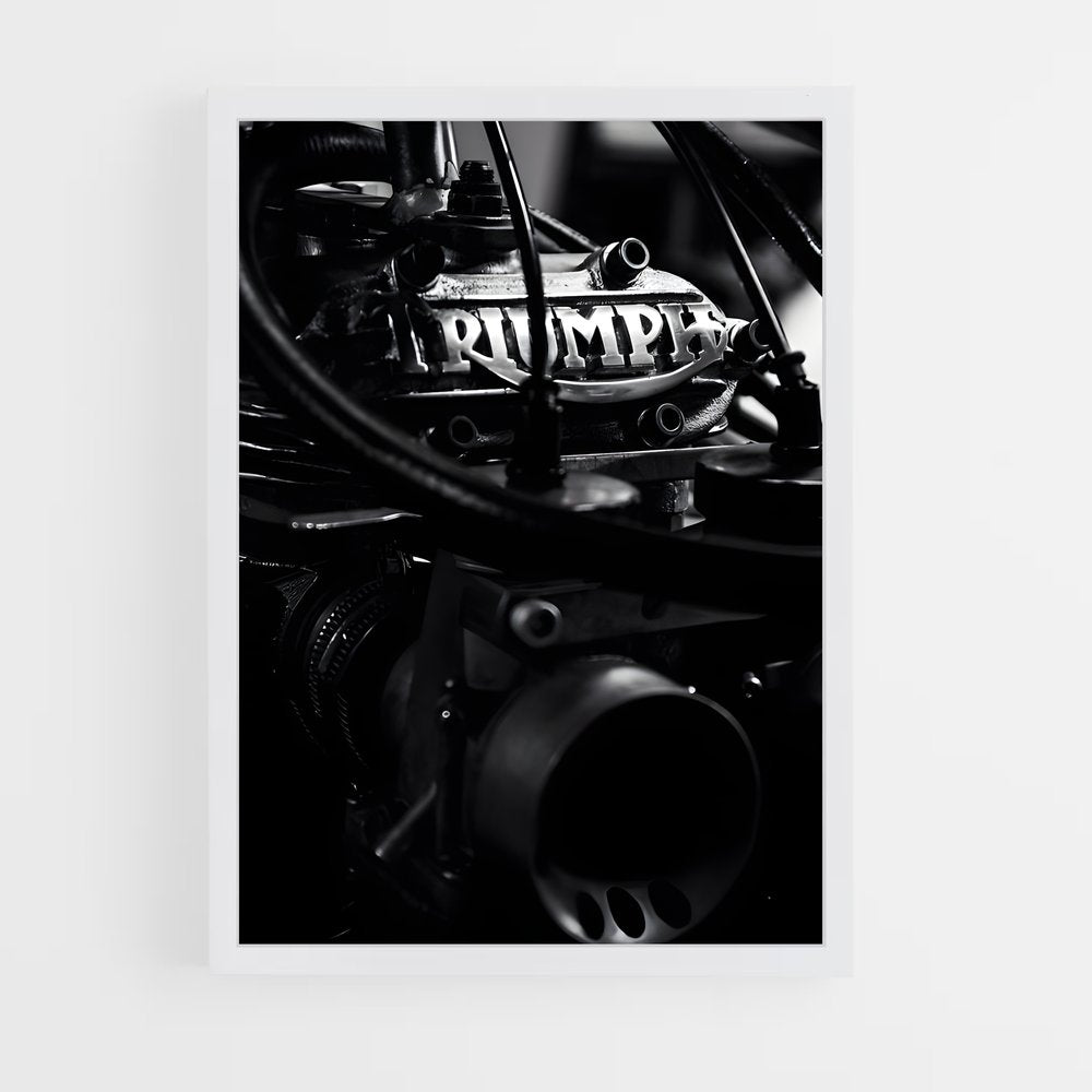 ap-triumph-4 cadre Blanc