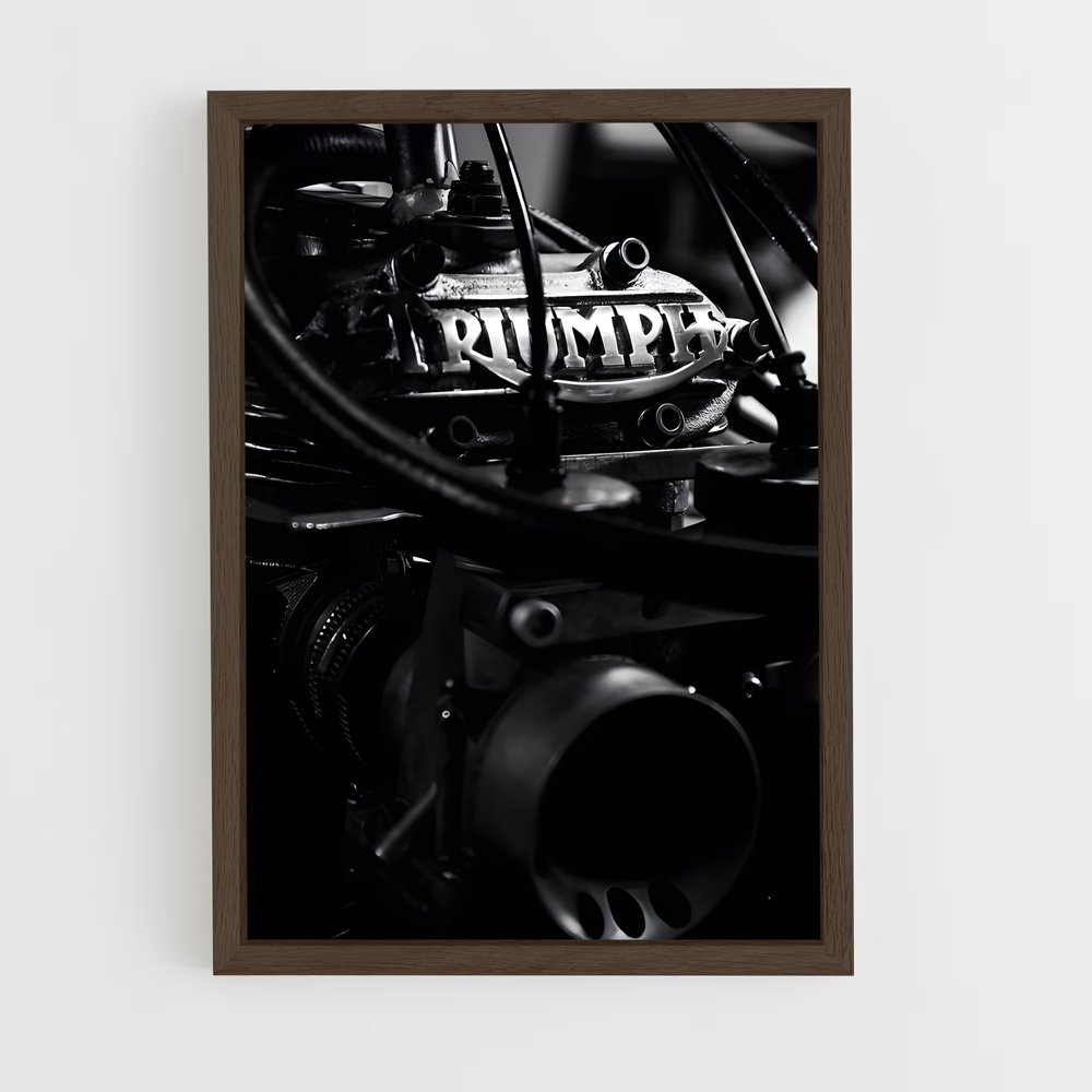 ap-triumph-4 cadre Bois foncé
