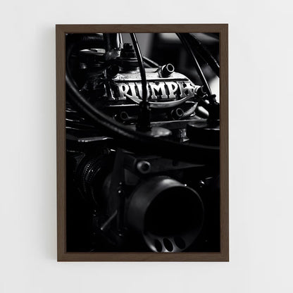 ap-triumph-4 cadre Bois foncé