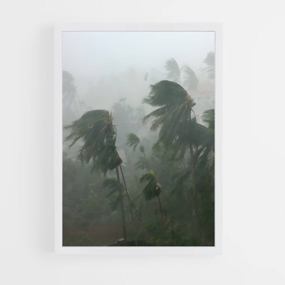 ap-tropical storm-1 cadre Blanc